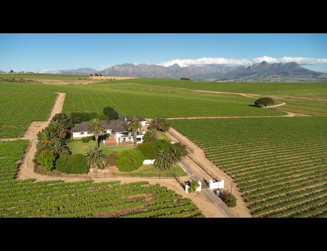 94HA FARM FOR SALE IN STELLENBOSCH FARMS